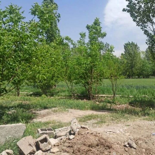 زمین 1000 متری فرهودیه هشتگرد (4)