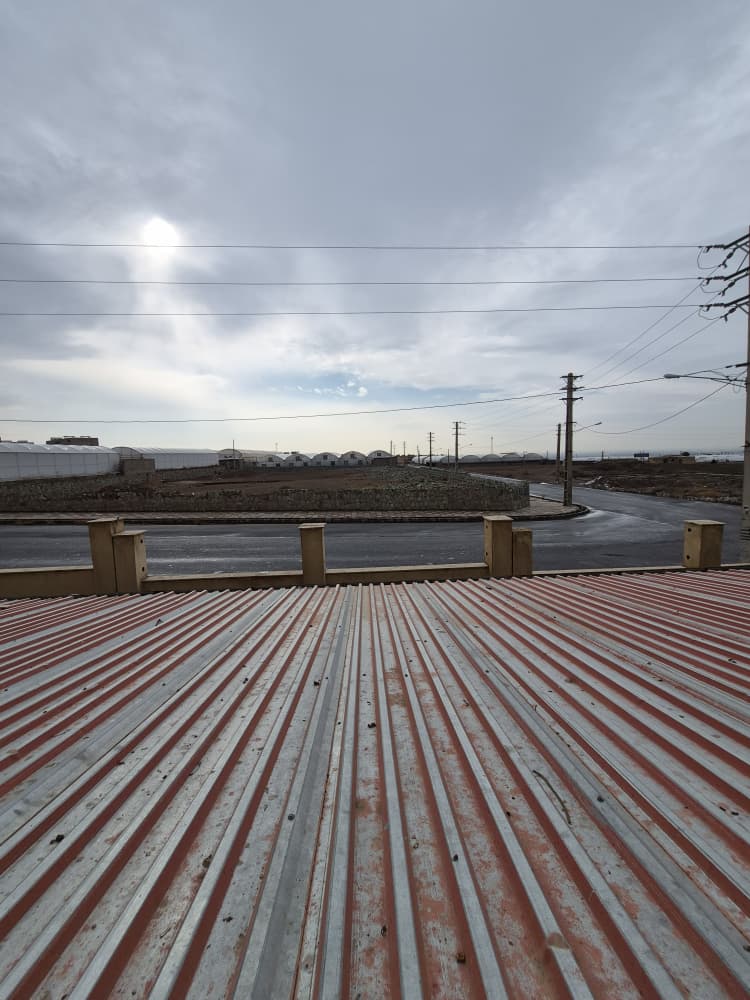 WhatsApp Image 2025-12-13 at 08.21.06 (2)